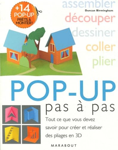 Pop-up pas à pas: Tout ce que vous devez savoir pour créer et réaliser des pliages en 3D 9782501077767