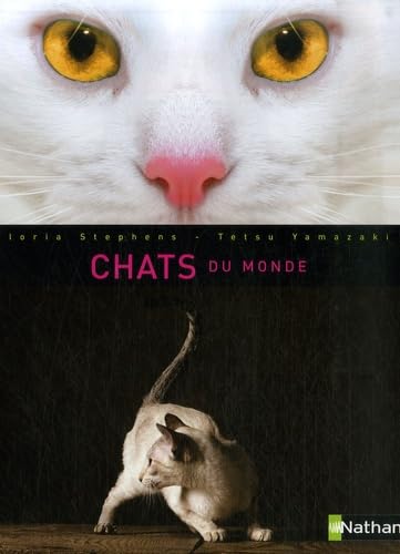 Chats du monde 9782092781272