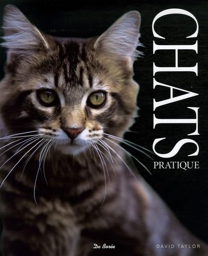 Les chats 9782844944474