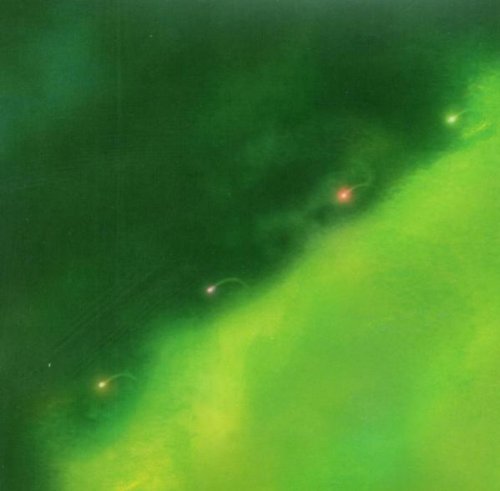 Someday We Will Foresee Obstac [Import] 5033197318325