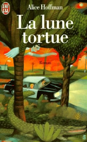 La Lune tortue 9782290044995