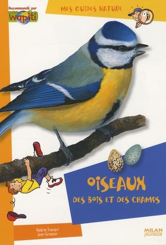 Oiseaux des bois et des champs 9782745930149