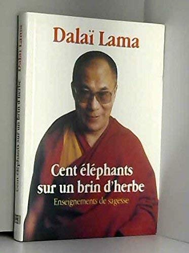 Cent éléphants sur un brin d'herbe 9782286032777