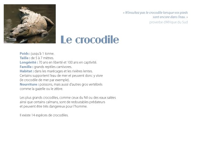 A qui est cet oeuf ? 9782841665198