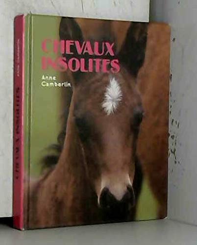 Chevaux insolites (St-André-des-Arts) 9782743461256