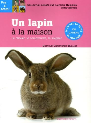 UN LAPIN A LA MAISON 9782840386759