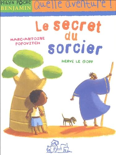 Le secret du sorcier 9782745915634