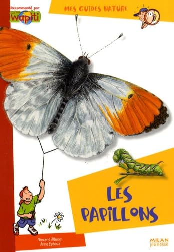 Les papillons 9782745930132