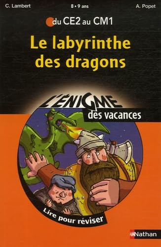 ENIGME VAC CE2 AU CM1 LABYRINT 9782091873916