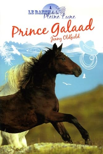 Prince Galaad 9782843043604