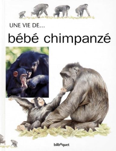 Bebe Chimpanze 9782841810826