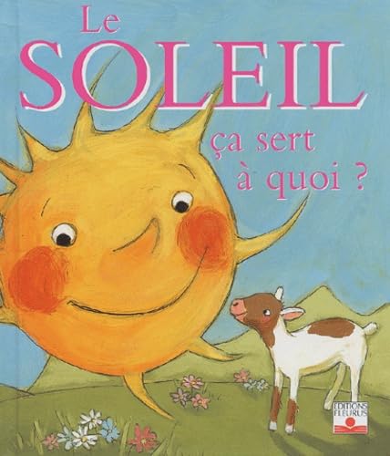 Le Soleil : Ça sert à quoi ? 9782215069133
