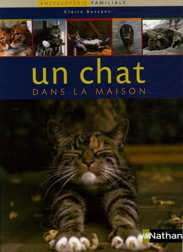 Un chat dans la maison 9782092780848