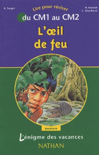 L'Énigme des vacances : L'Oeil du feu, lire pour réviser du CM1 au CM2 9782091844077