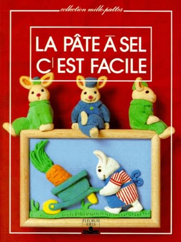 La Pâte à sel c'est facile 9782215020561