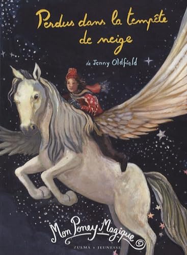 Perdus dans la tempête de neige 9782843043758