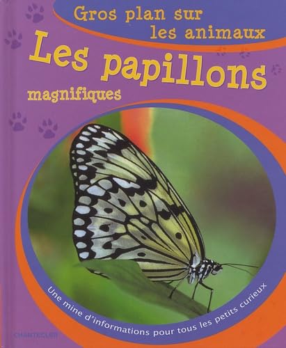 Les papillons magnifiques 9782803444472