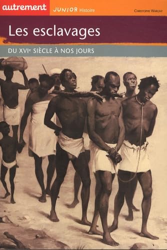 Les esclaves: Du XVIe siècle à nos jours 9782746711808