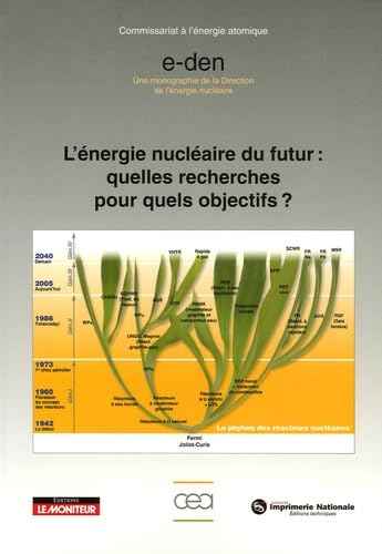 L'énergie nucléaire du futur : quelles recherches pour quels objectifs ? 9782281113075