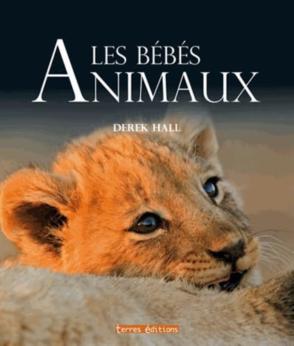 Les Bébés animaux 9782355301032