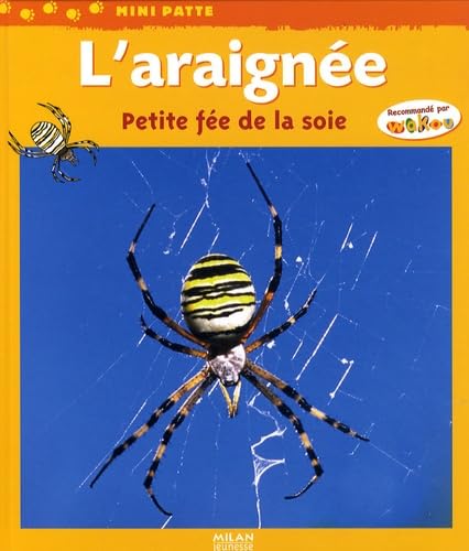 L'araignée: Petite fée de la soie 9782745937117