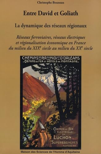 Entre David et Goliath, la dynamique des réseaux régionaux : Réseaux ferroviaires, réseaux électriques et régionalisation économique en France du milieu du XIXe siècle au milieu du XXe siècle 9782858923519