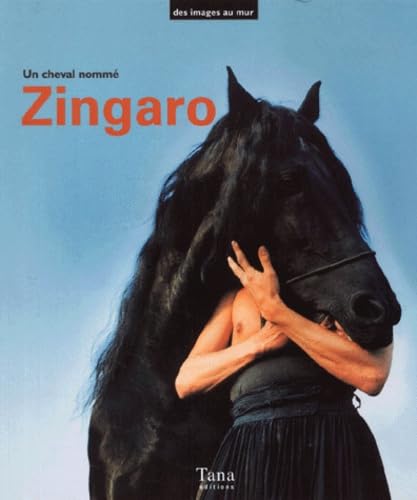 Coffret Zingaro le cheval 9782845670167