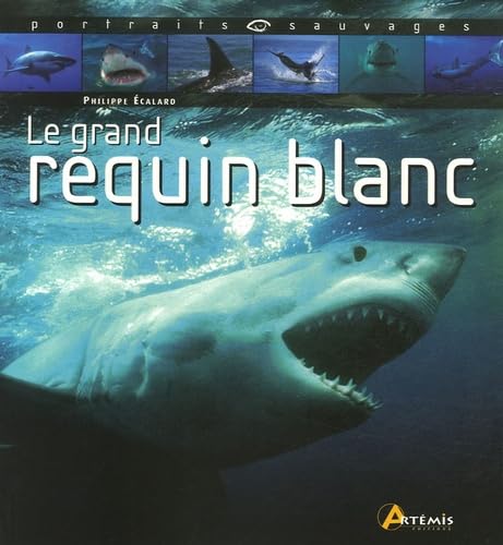 Le grand requin blanc 9782844164520