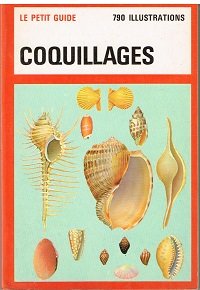 Le Petit Guide Coquillages 790 Illustrations 