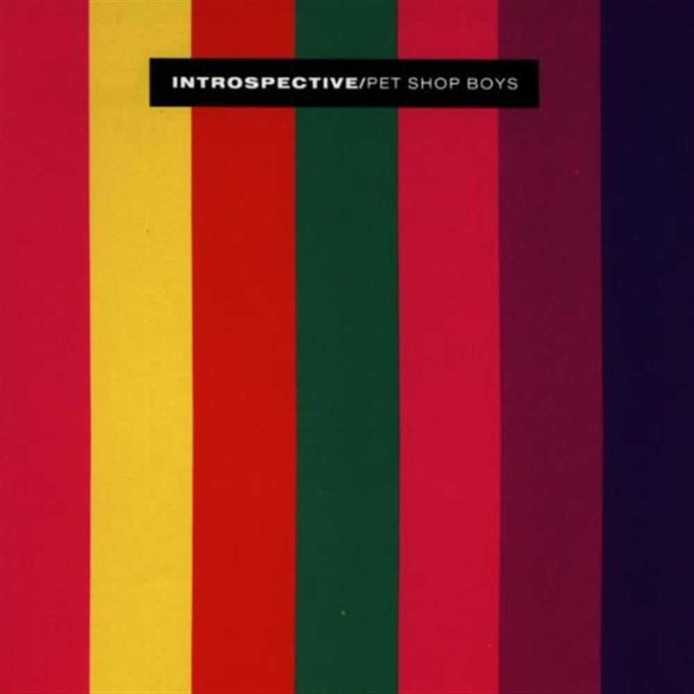 Introspective 9786303310787