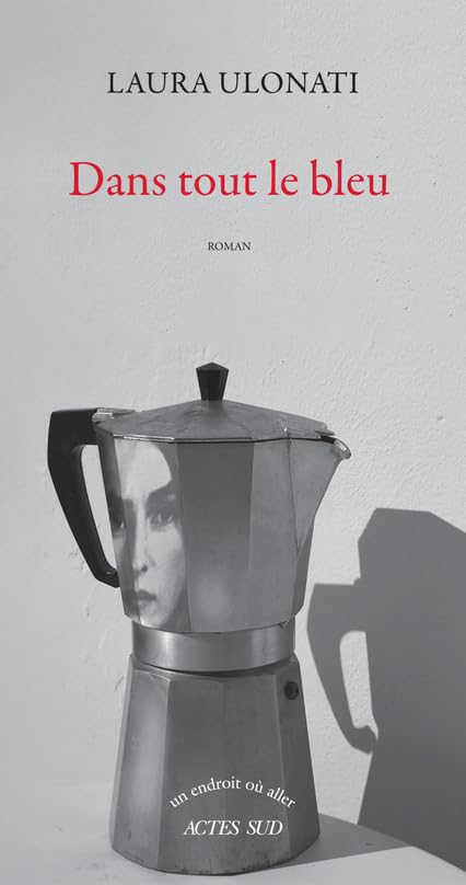 Dans tout le bleu 9782330150778