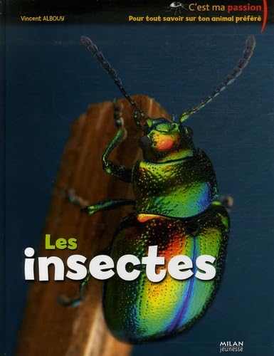 Les insectes 9782745924339