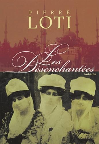Les désenchantées: Roman des harems turcs contemporains 9782844980441