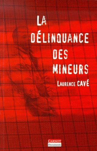 La Délinquance des mineurs 9782912362476