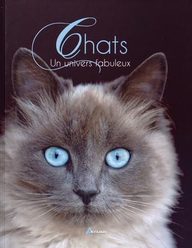 Chats : un Univers Fabuleux 9782816006582