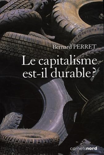 LE CAPITALISME EST-IL DURABLE ? 9782355360138