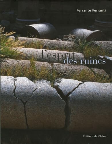 L'esprit des ruines 9782842775926
