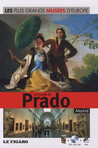 Le musée du Prado, Madrid - Vol.6 Avec dvd-rom 9782810503124