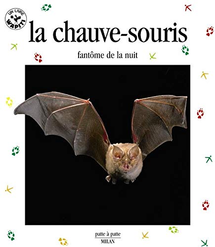 La Chauve-souris : Fantôme de la nuit 9782745903693