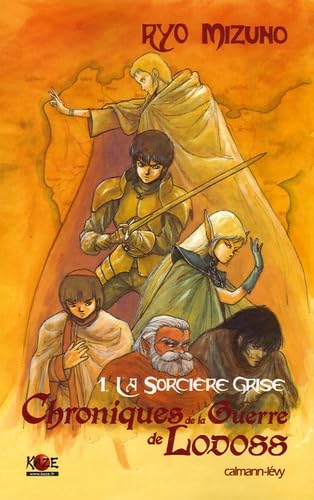La sorcière grise 9782702136539