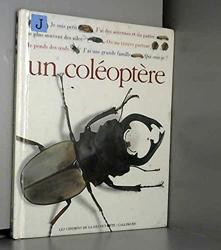 Qui suis je ? un coleoptere 102097 9782070585014