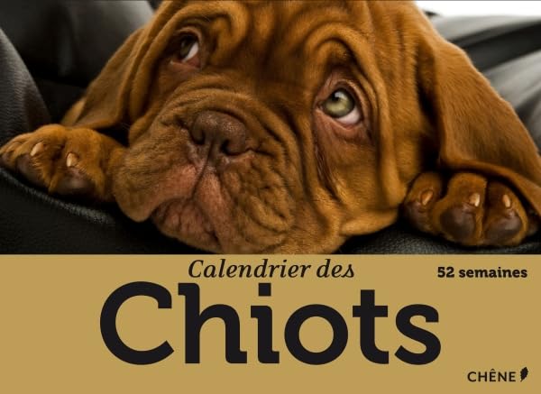 Calendrier des chiots 9782812304774