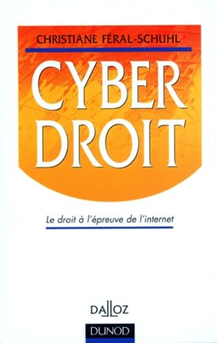 Cyberdroit. Le Droit A L'Epreuve De L'Internet 9782100042555