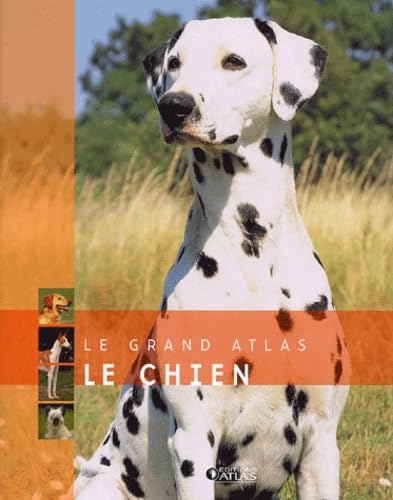 Le chien 9782723448956