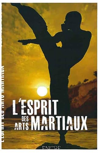 L'esprit des arts martiaux 9782358470247