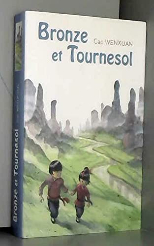 Bronze et tournesol 9782298041392