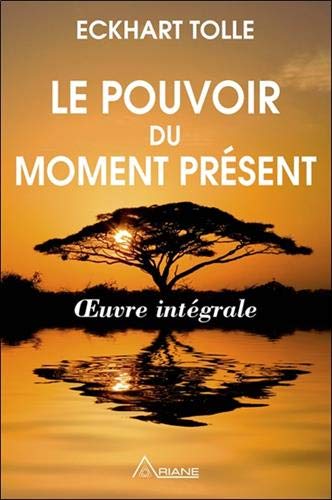 Le pouvoir du moment présent - Oeuvre intégrale - Guide d'éveil spirituel 9782896263028