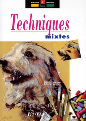 Techniques Mixtes 9782040272043