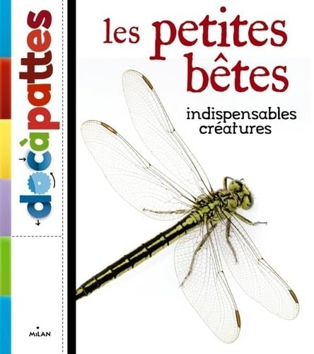 Les petites bêtes 9782745958389