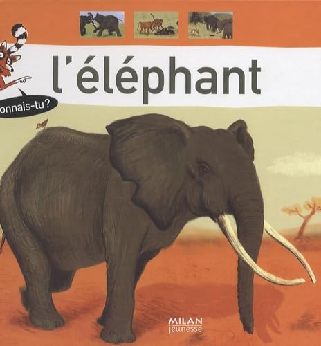 L'éléphant 9782745923004